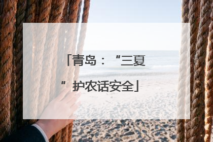 青岛：“三夏”护农话安全